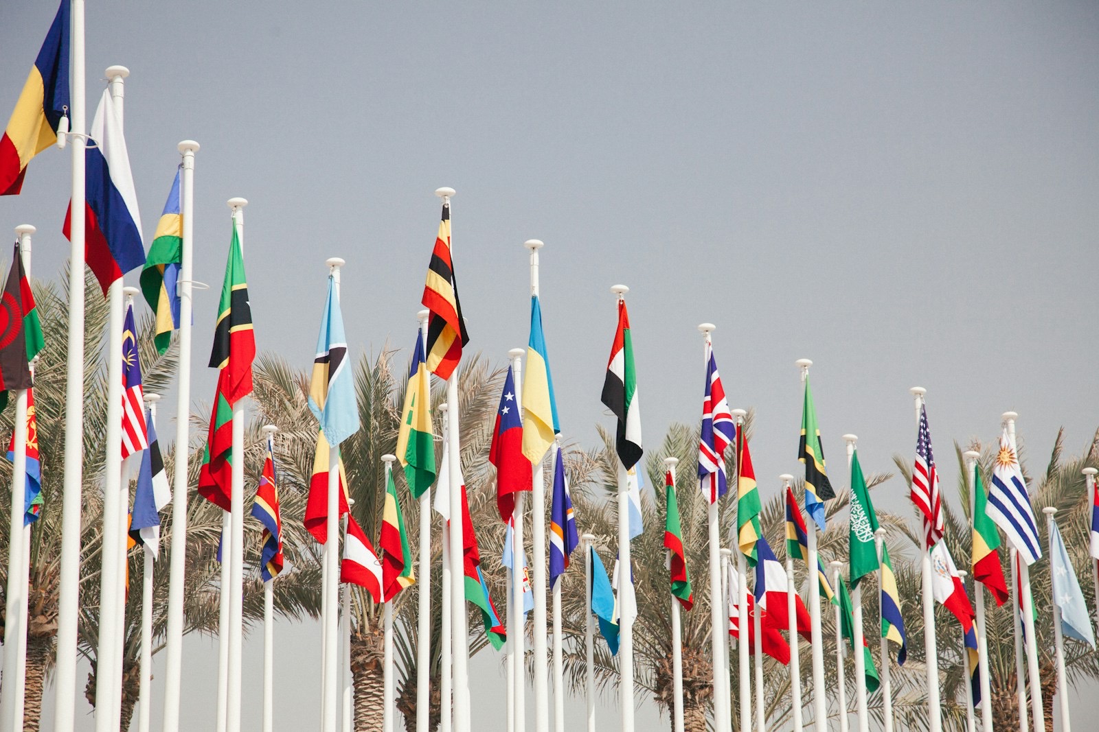 Rows of national flags on poles against palm trees and a hazy sky